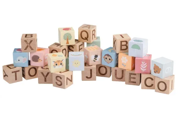 Alphabet blocks with bag