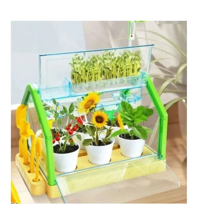 DIY Kids Planting Activity Sunlight Room Kit