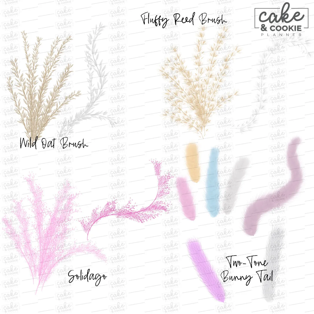 Dried Blooms Procreate Pack - Digital Cake Sketching