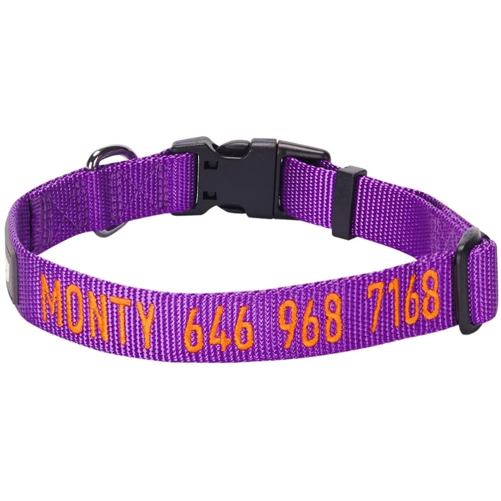 Personalized Dog Collar with Pet Name and Phone, Purple