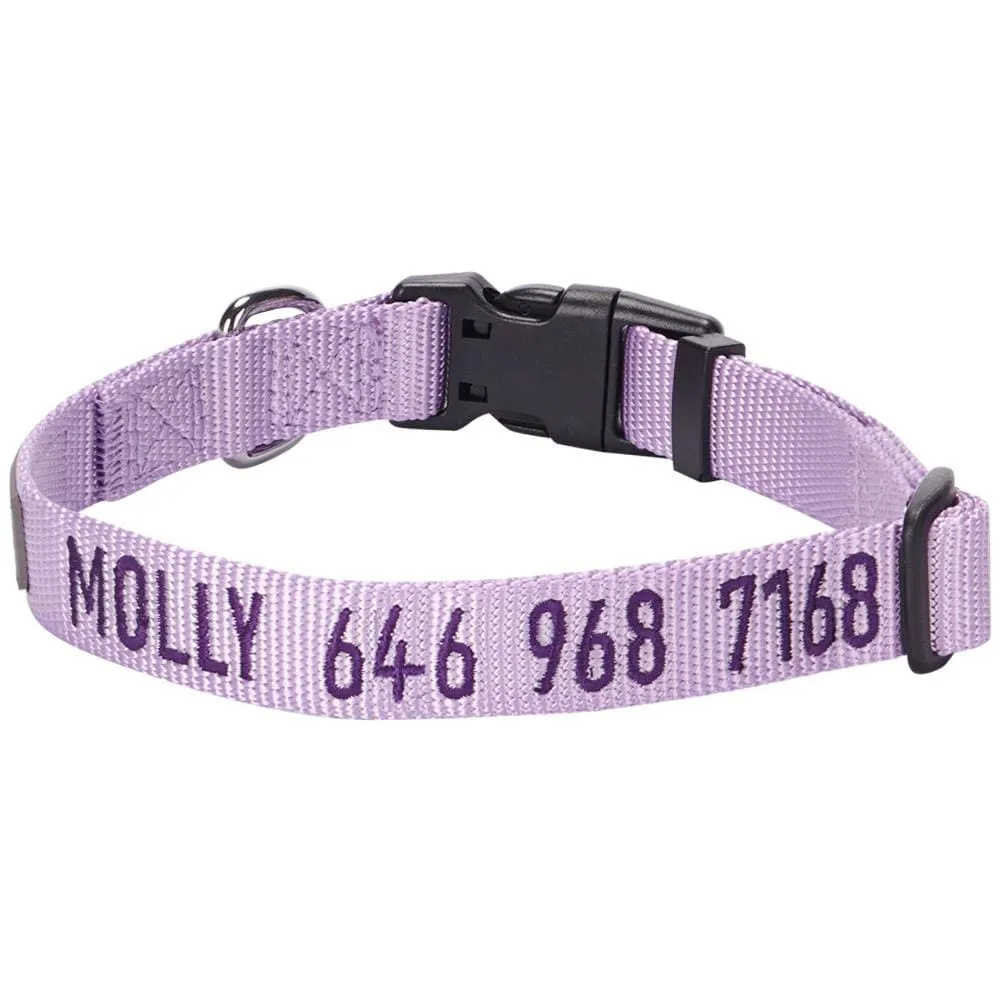 Personalized Dog Collar with Pet Name and Phone, Purple