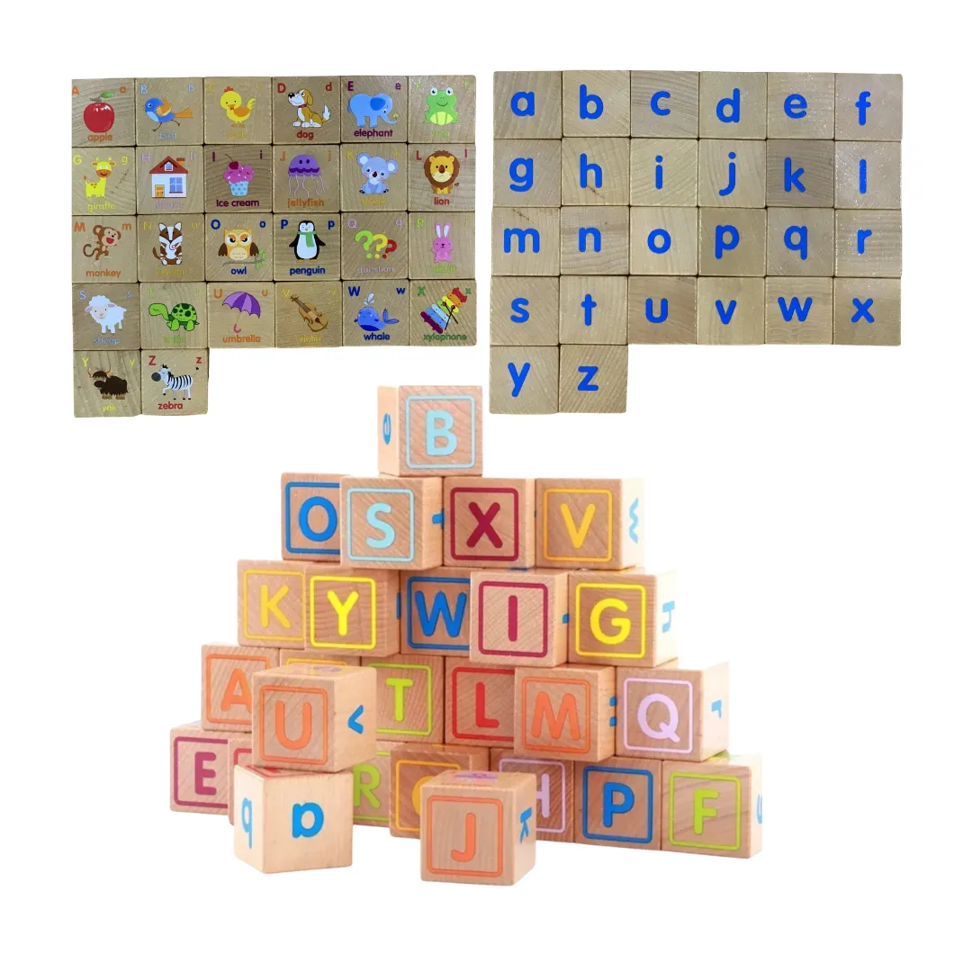 The Growing Brain PH Alphabet Blocks